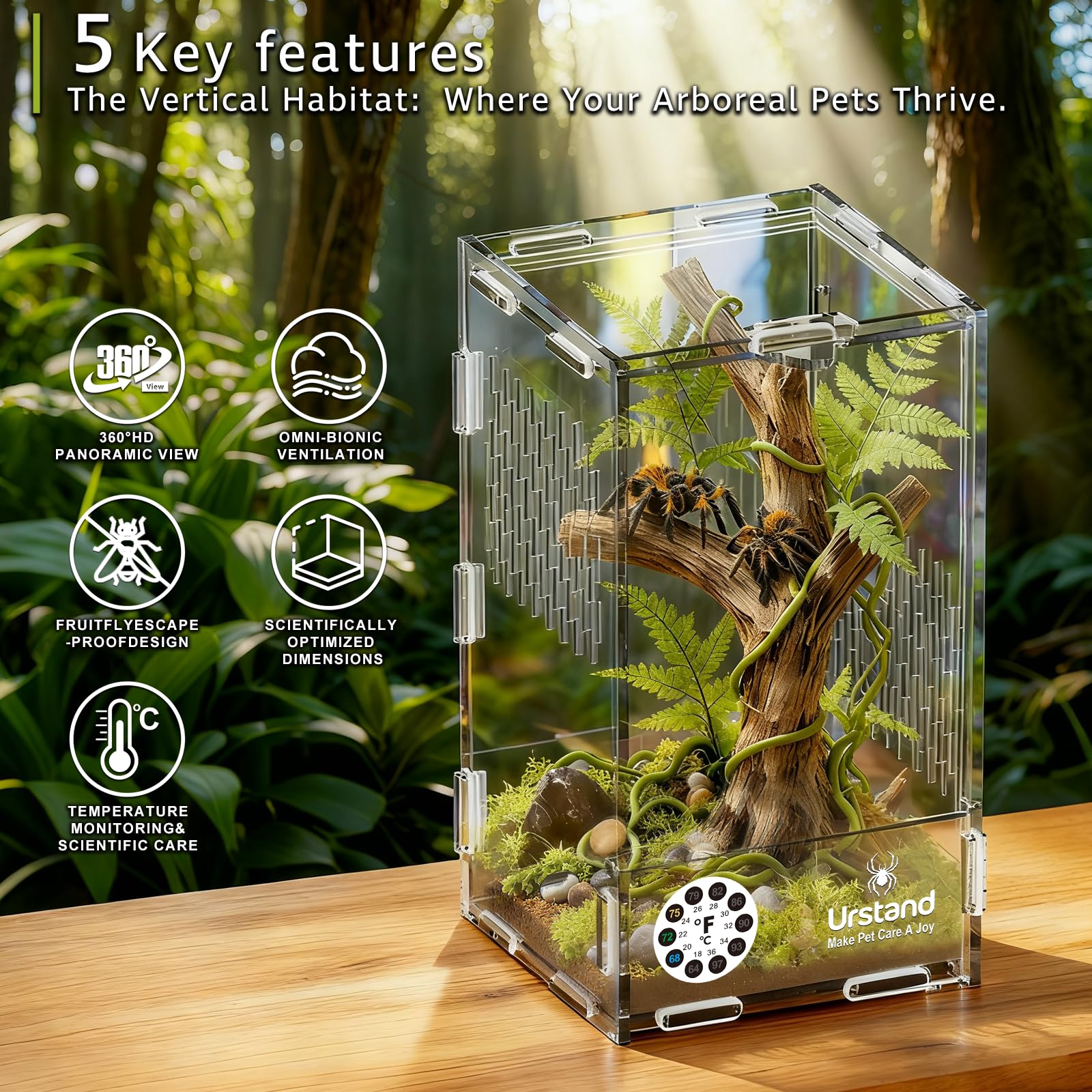 Urstand terrarium-acrylique-frontale offre ouverture et vue claire.