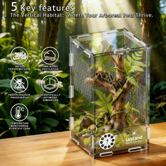 Urstand terrarium-acrylique-frontale offre ouverture et vue claire.
