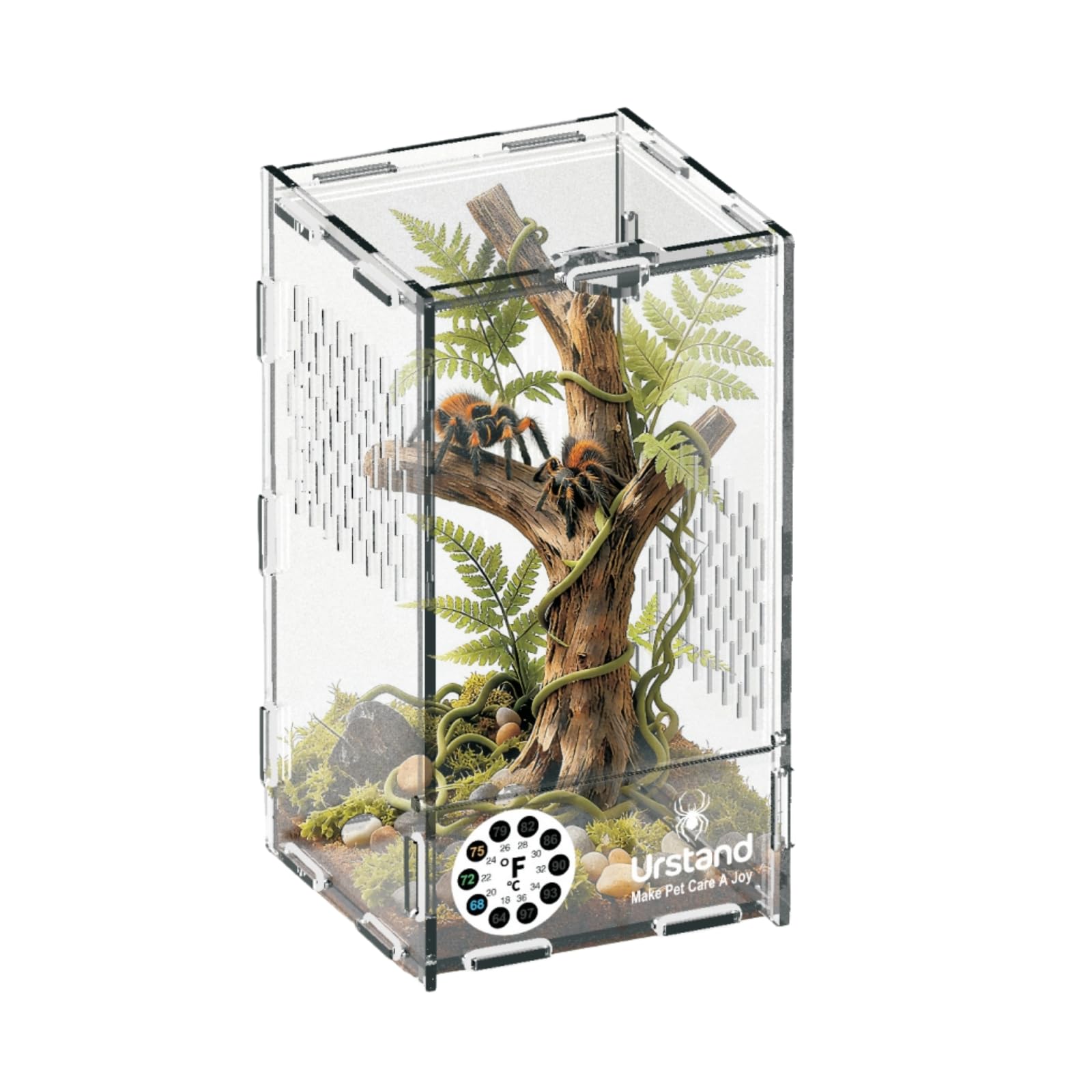 Urstand terrarium araignee-sauter avec porte magnetique pour observation securisee.