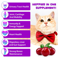 Uruses gouttes absorption rapide pour chat, aide à intégrer les nutriments essentiels.