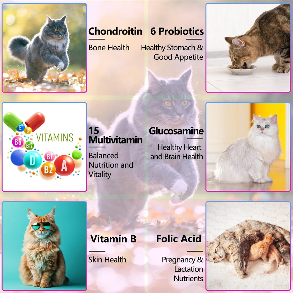 Uruses soutien articulations hanches chat, mobilité améliorée.