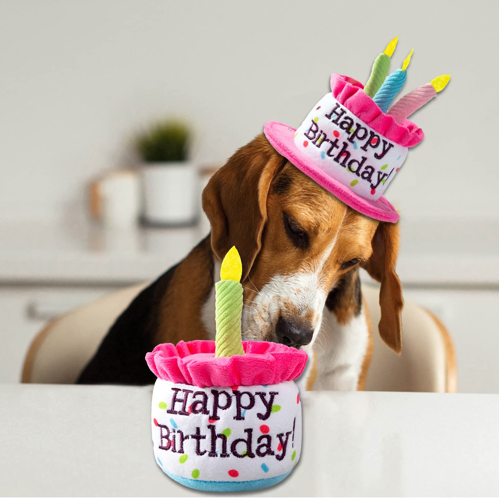 Ushang Pet gâteau-anniversaire-chien: jouet non toxique selon étiquette produit.