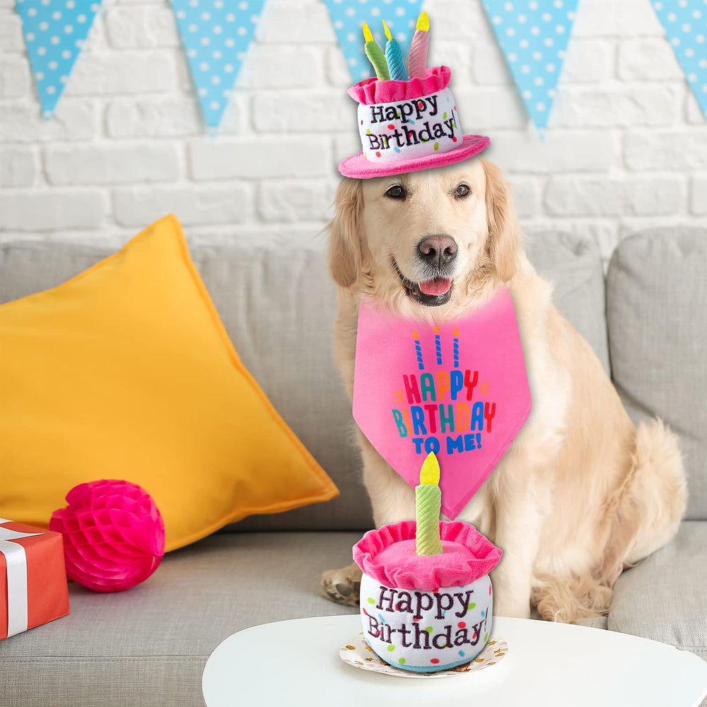 Ushang Pet gâteau-anniversaire-chien: parfait comme cadeau fête d'anniversaire pour chien.