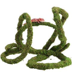 USMOLA Vigne-mousse facile à nettoyer, pratique pour terrariums et aquariums.