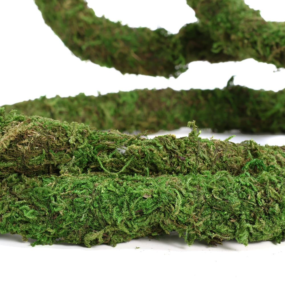 USMOLA Vigne-mousse couleur vert forêt pour un aspect naturel et apaisant.