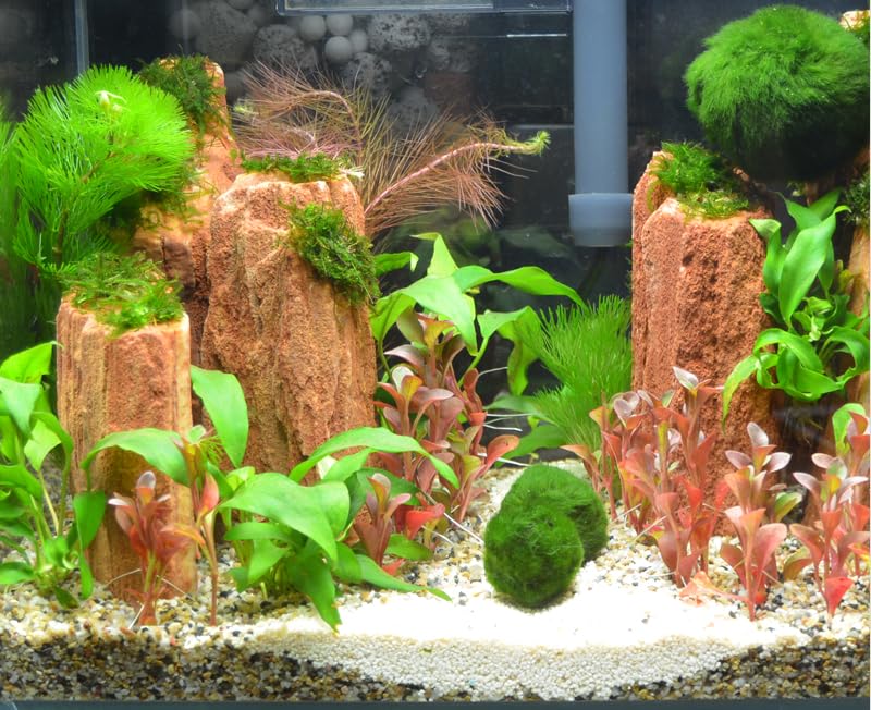 USRUTIUD boules faciles à poser, prêt à embellir l'aquarium.