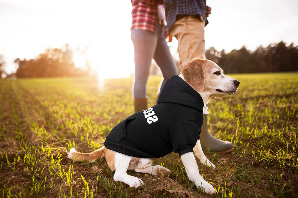 Entretien facile: lavage en machine du sweat Uteuvili pour chien.