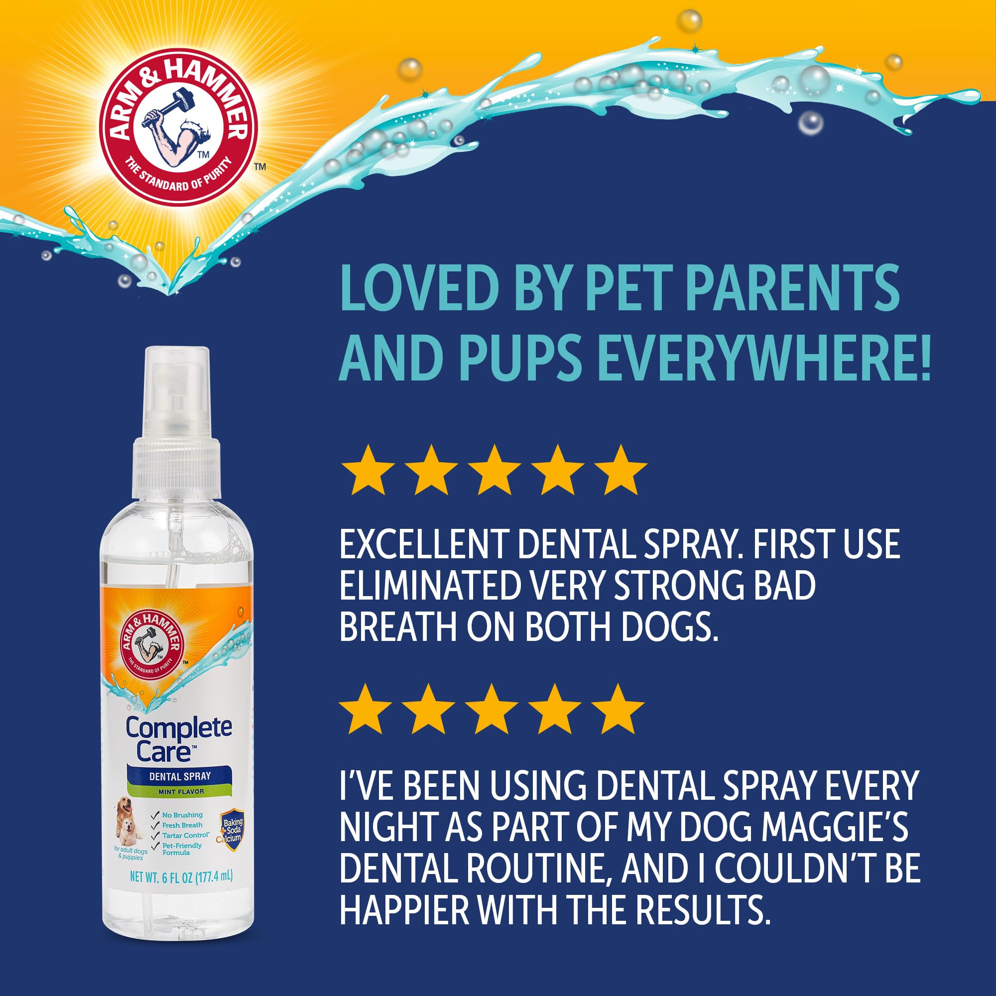 Utilisation quotidienne spray dentaire Arm & Hammer pour chien