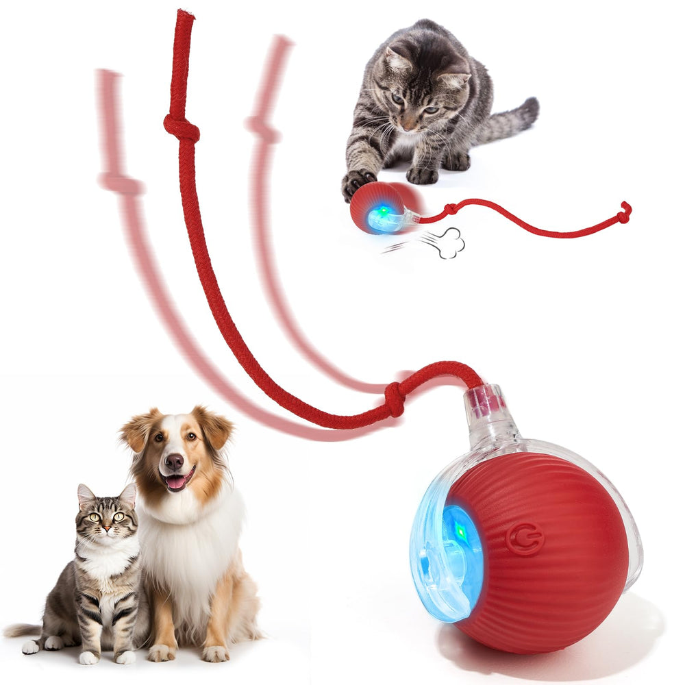 Balle interactive Utroni en action pour chats et chiens, stimulation 360°.