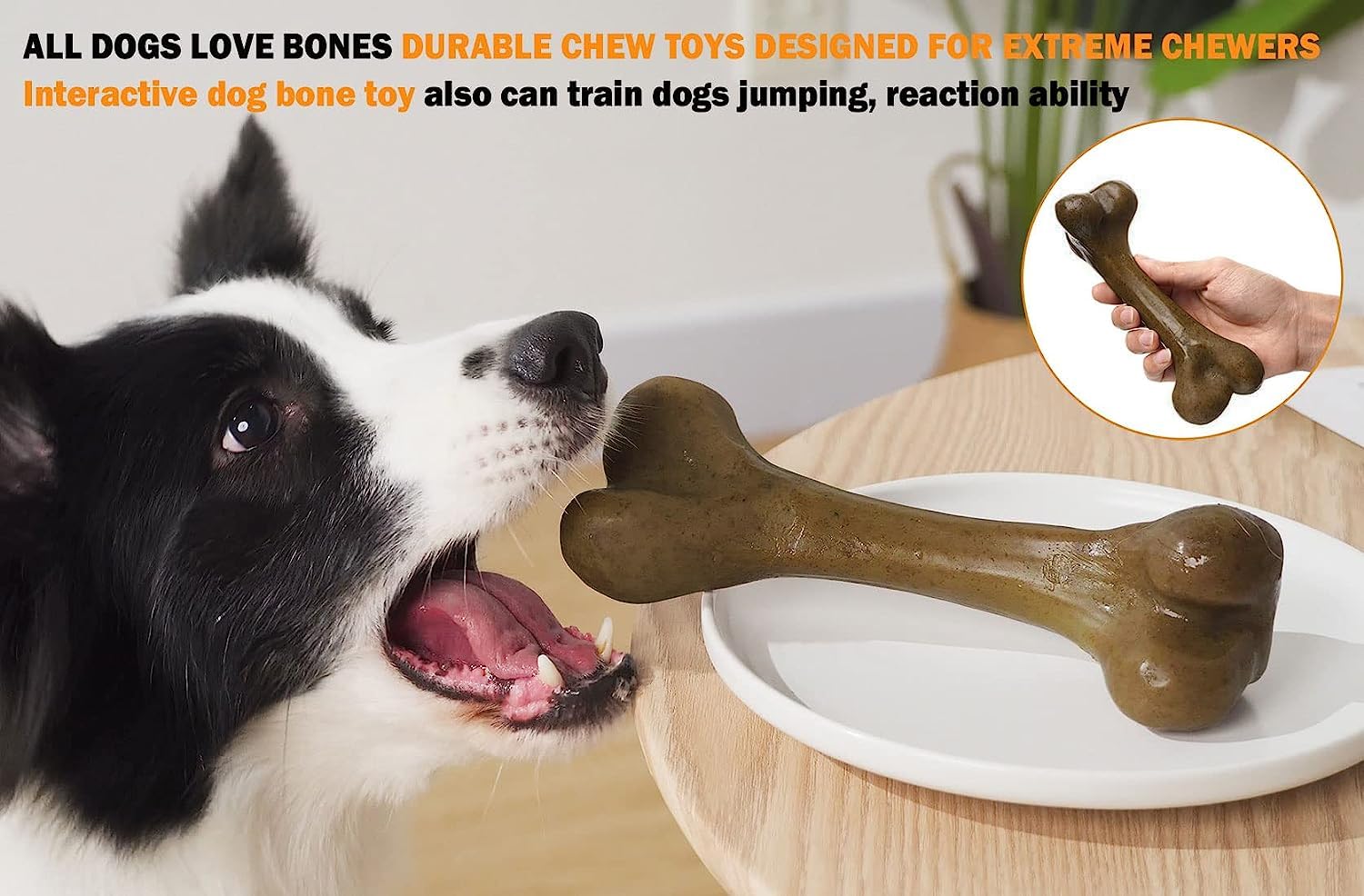 UXVA os-boeuf-infusée pour une saveur durable pendant la mastication.
