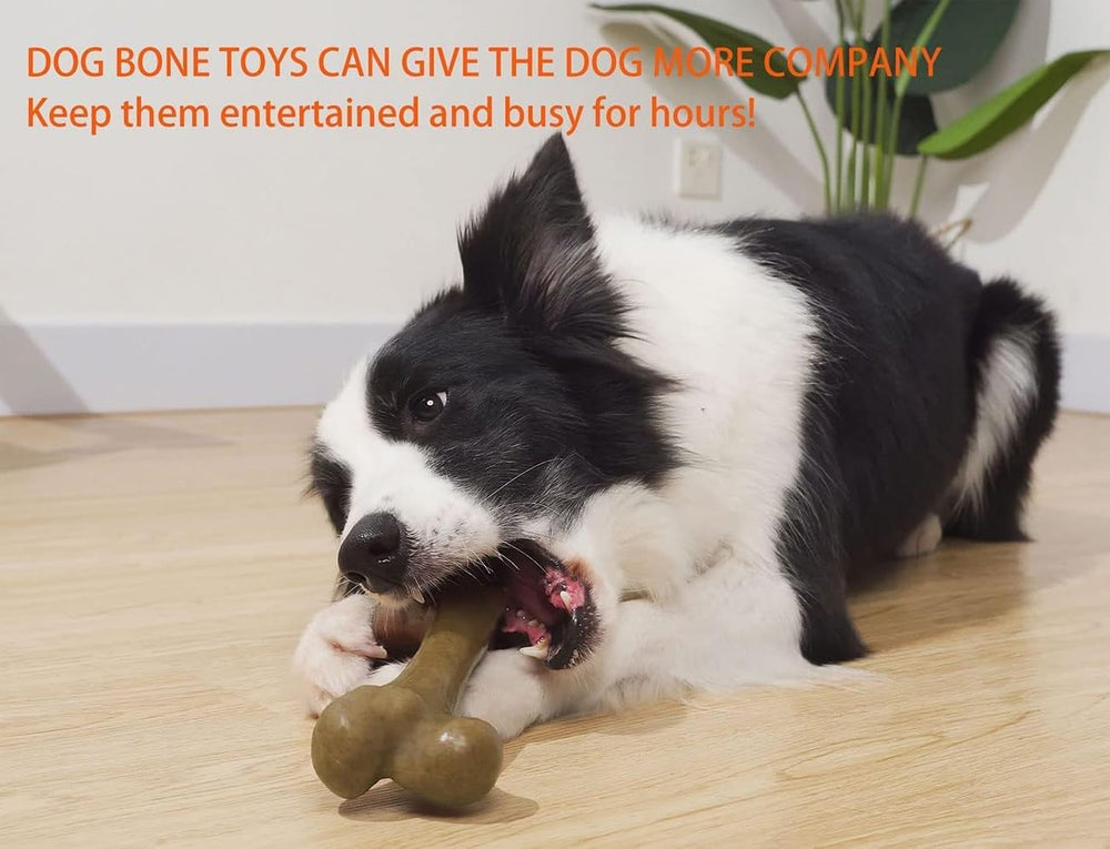 UXVA sécurité et longévité du jouet pour chiens.