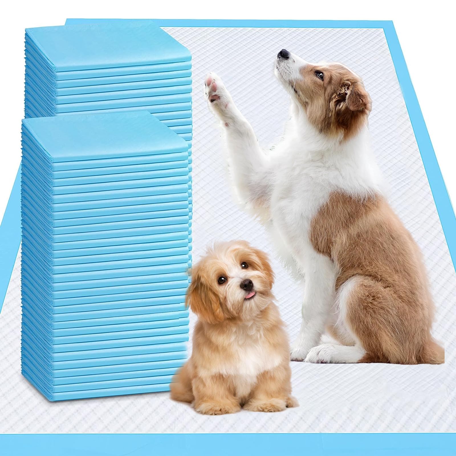 UYDJKLS tapis-pipi extralarge 31x47 posé, prêt pour l'entraînement