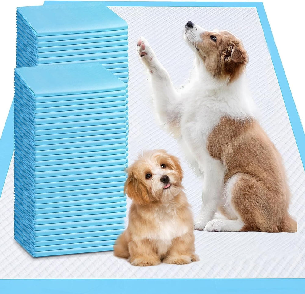 Tapis UYDJKLS Puppy XXL avec absorption rapide pour l'entraînement