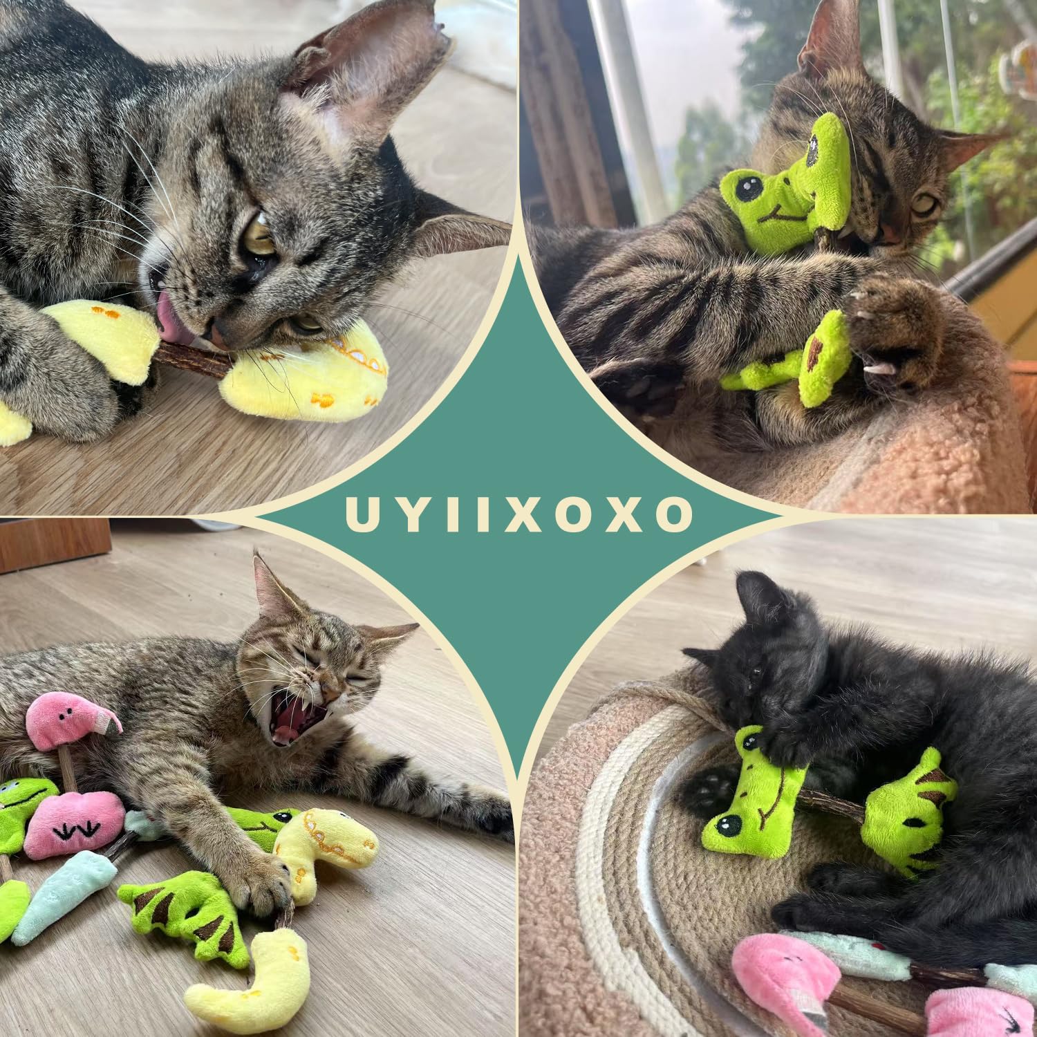 Ensemble-jouets-chat-interieur de uyiixoxo, adapté à toutes les races et tous âges.