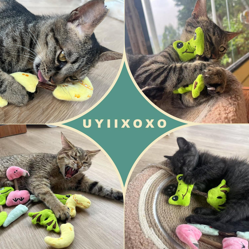 Ensemble-jouets-chat-interieur de uyiixoxo, adapté à toutes les races et tous âges.