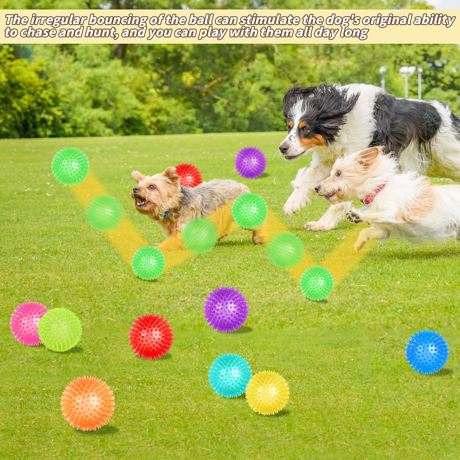 UZLU jouet eau pour chien, parfait pour jeux aquatiques.
