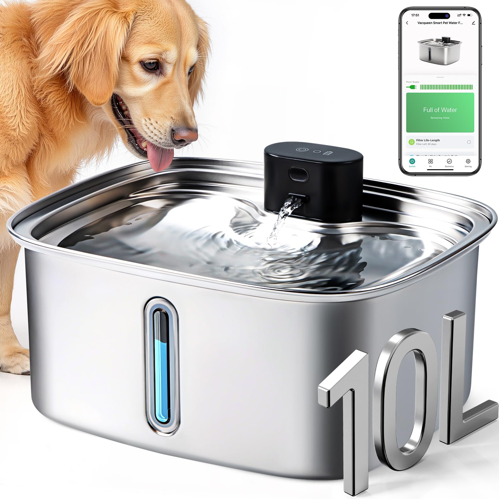 Vacqueen fontaine d'eau chien grande capacité 10L, pratique pour plusieurs chiens.