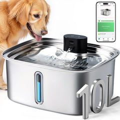 Vacqueen fontaine d'eau chien grande capacité 10L, pratique pour plusieurs chiens.