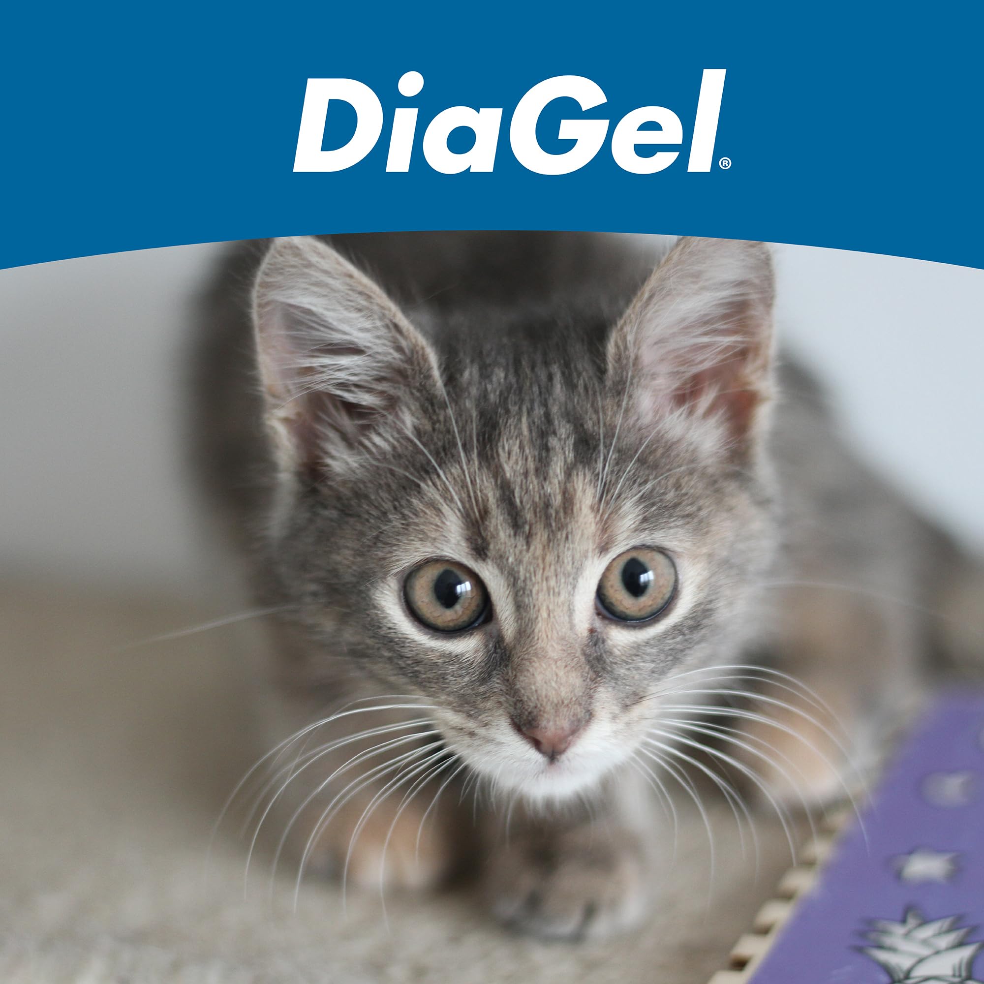 DiaGel chatons: soutien digestif quotidien grâce à des ingrédients naturels et sûrs.