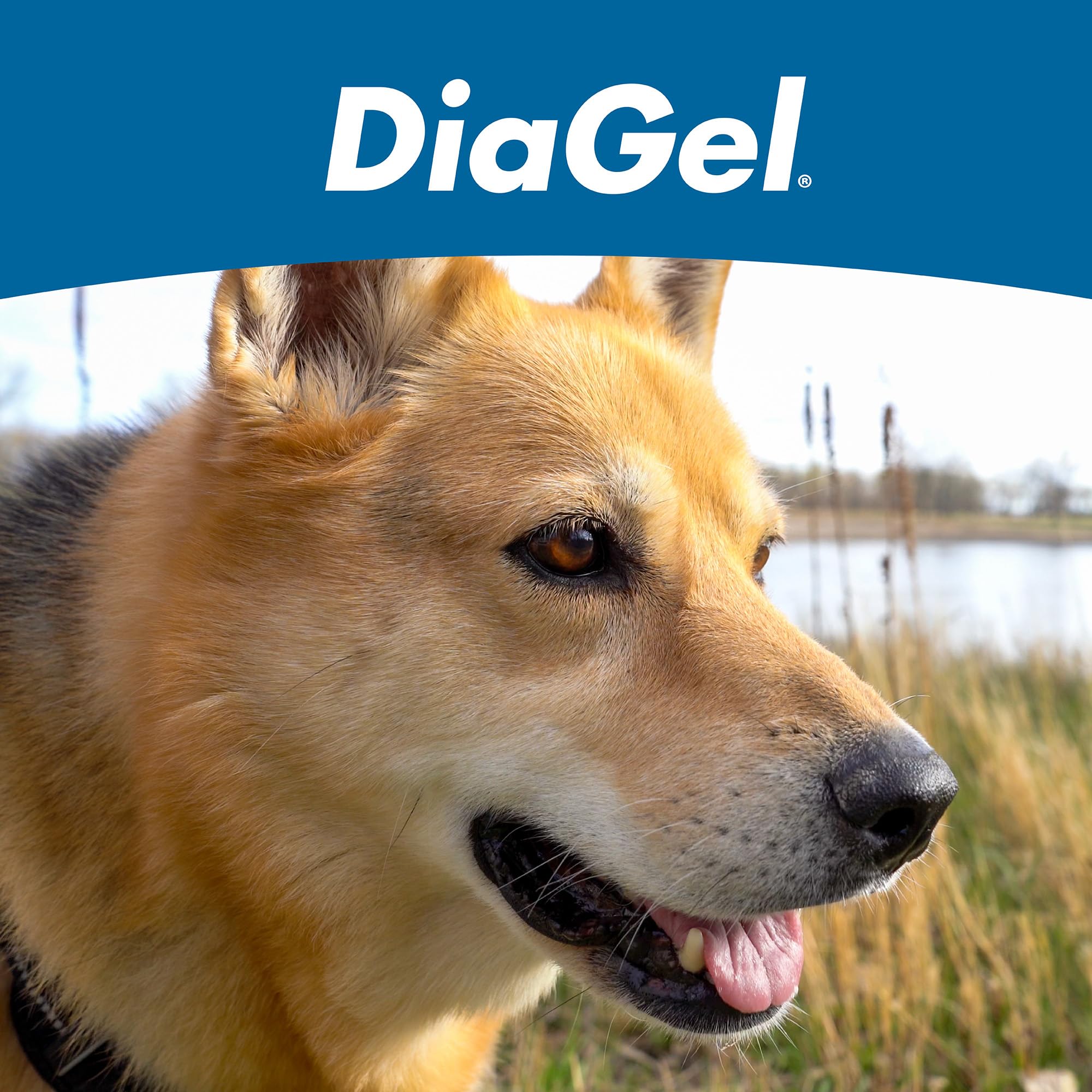 DiaGel Van Beek; emballage pratique et transportable.