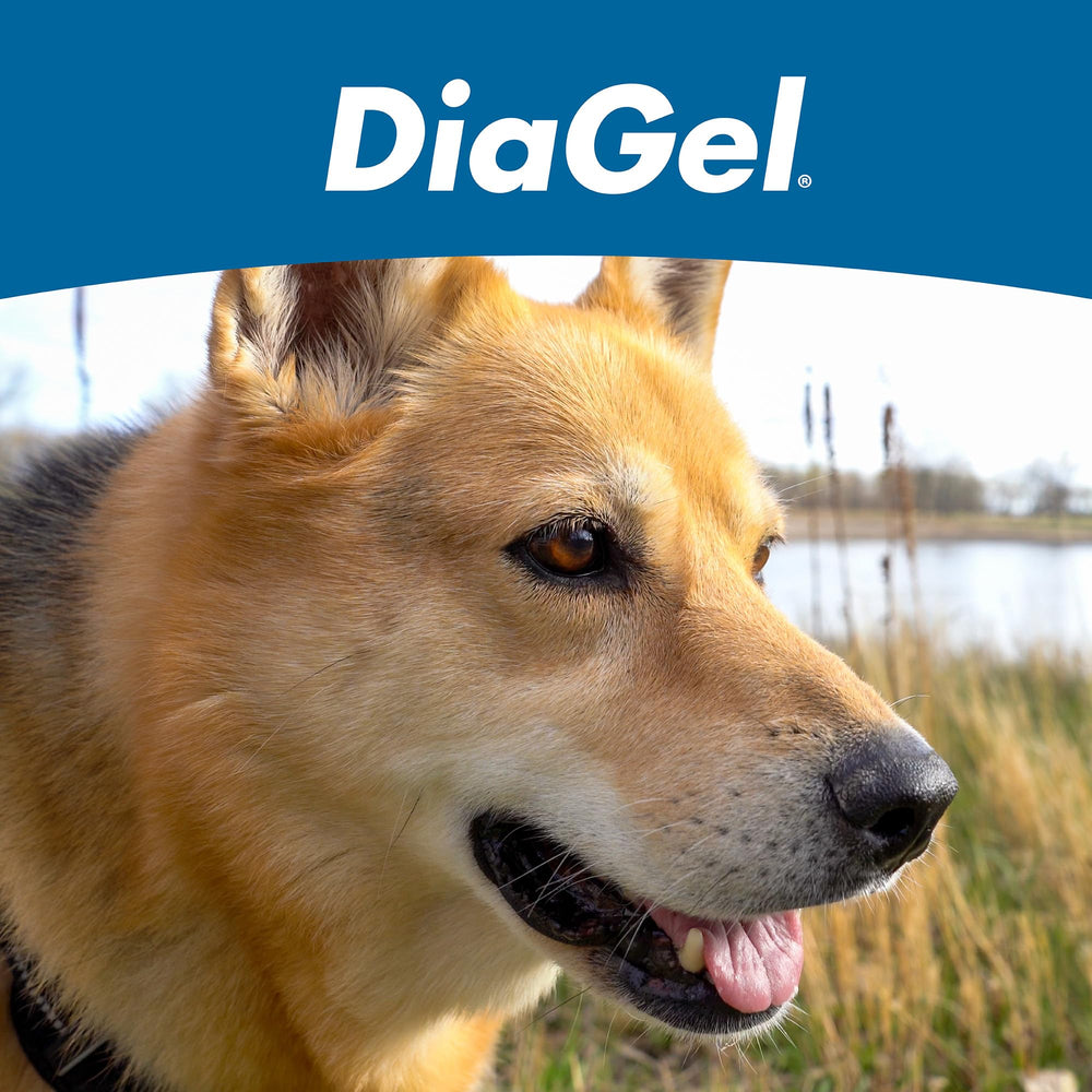 DiaGel Van Beek; emballage pratique et transportable.