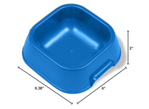 Bol Van Ness bleu, finition polie facile à nettoyer après le repas.