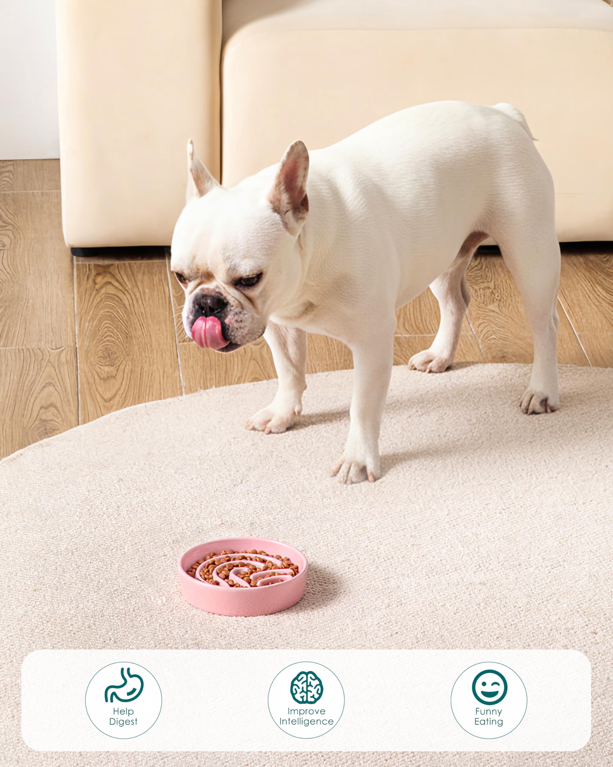 Conception robuste pour chiens actifs qui aiment mâcher légèrement.