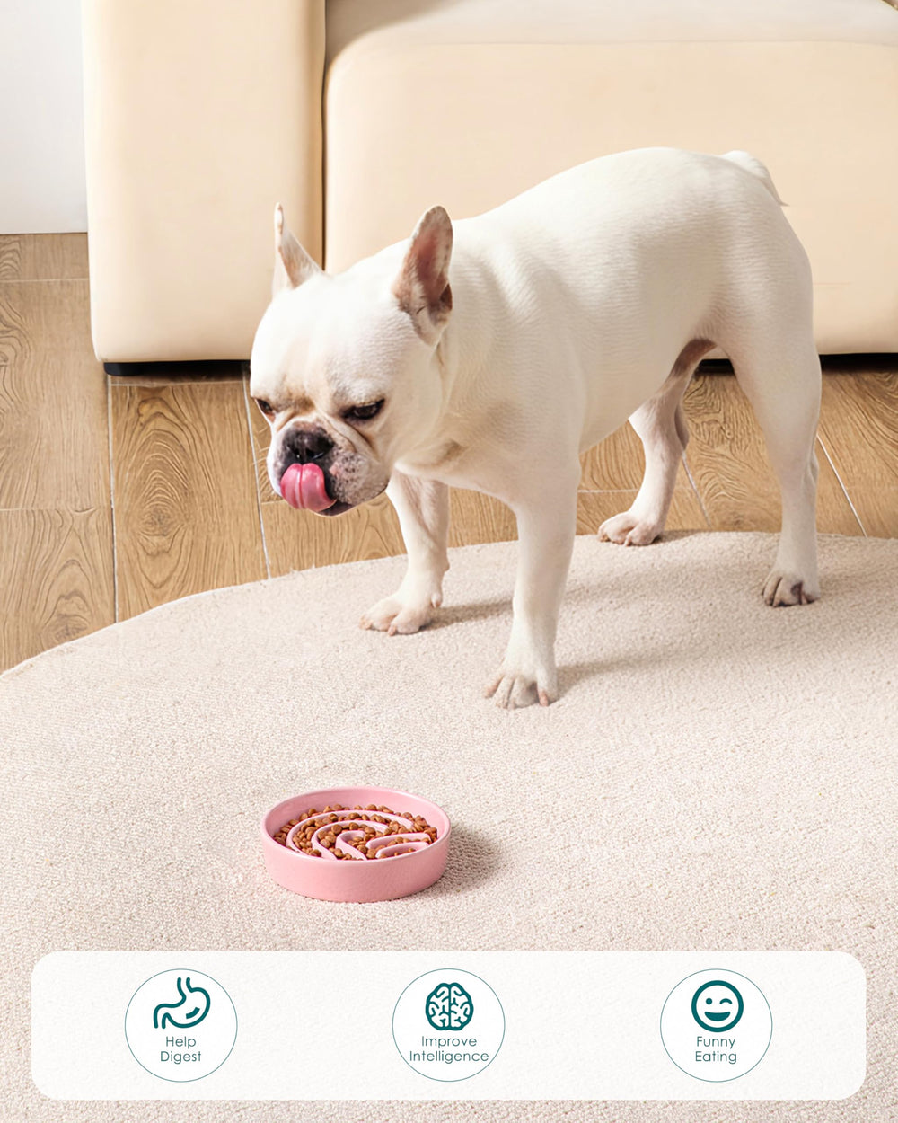 Conception robuste pour chiens actifs qui aiment mâcher légèrement.