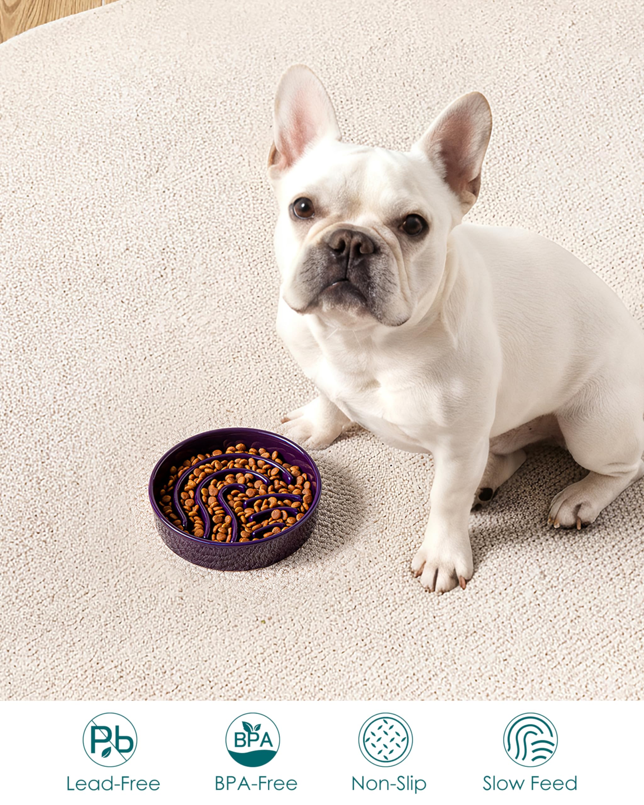 Base antiglisse Vancasso bol chien évite les déplacements pendant les repas.