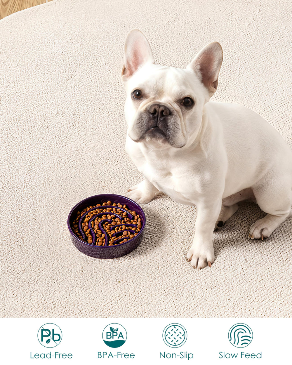 Base antiglisse Vancasso bol chien évite les déplacements pendant les repas.