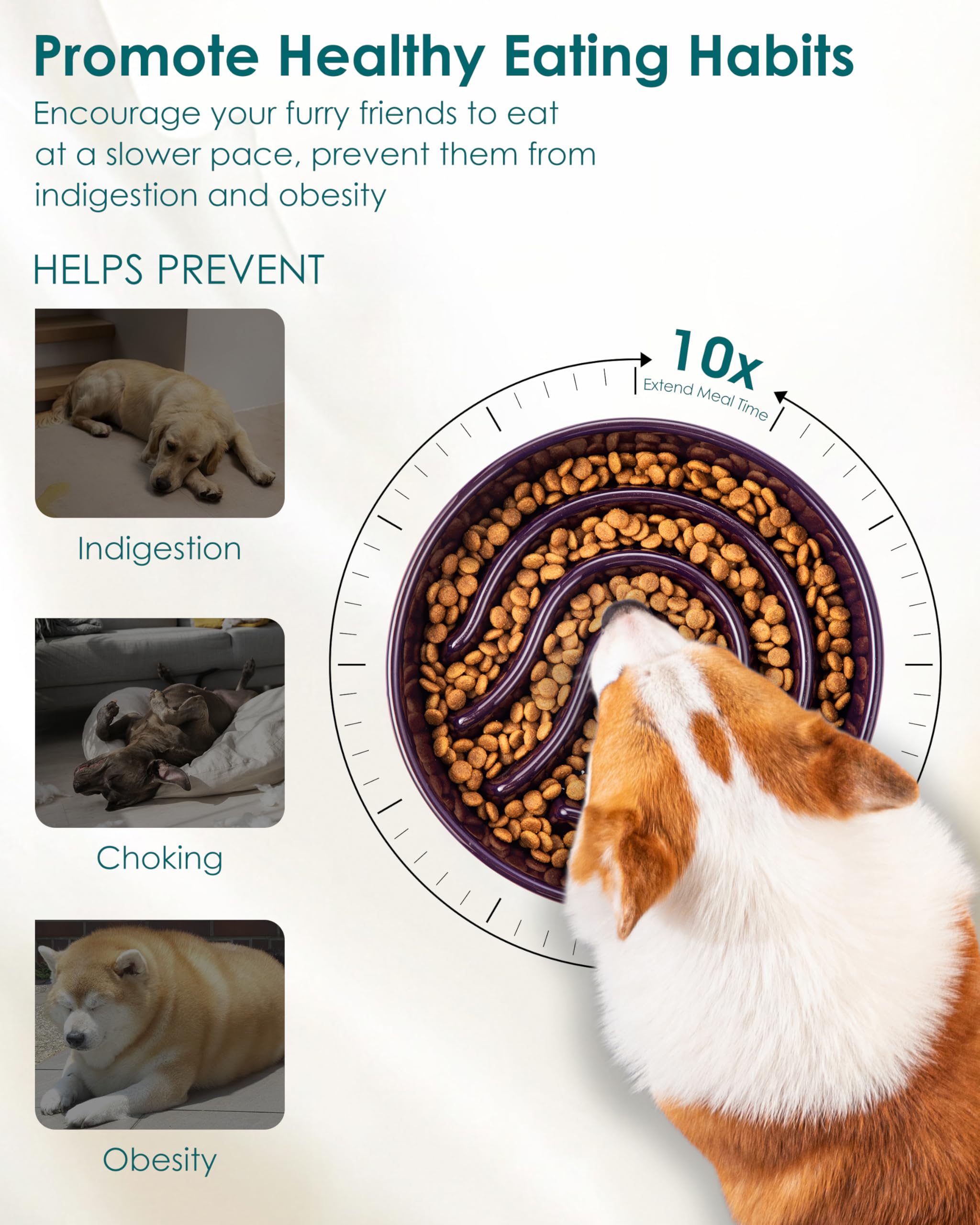 Base antidérapante du bol Vancasso pour chien actif