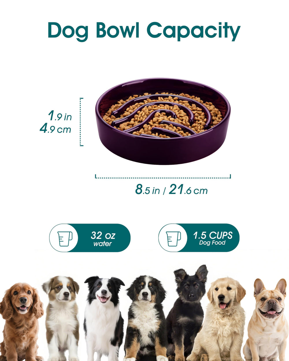 Bol Vancasso en céramique sûr et hygiénique pour repas de chien