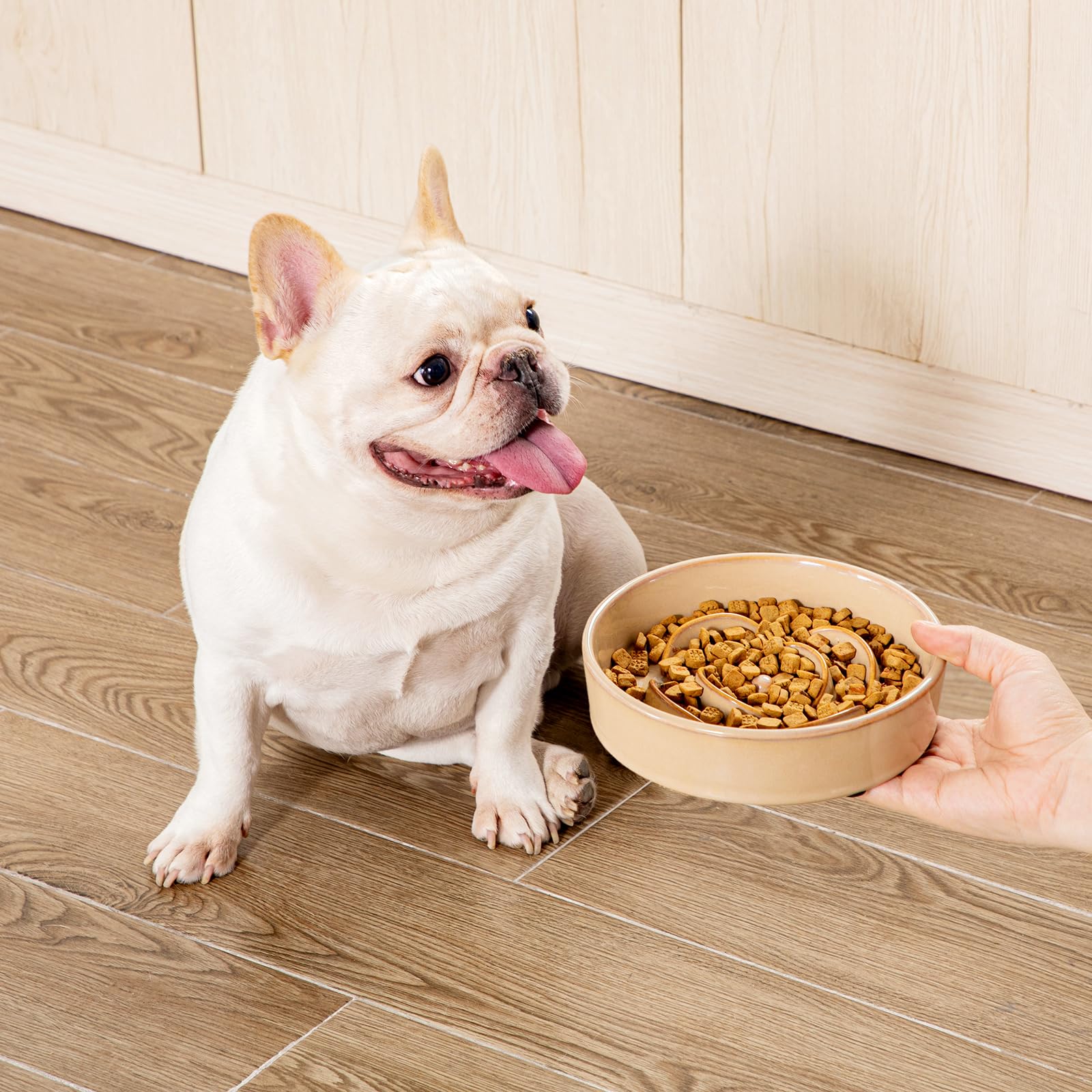 Utilisation pour chiens et chats avec le bol Vancasso.