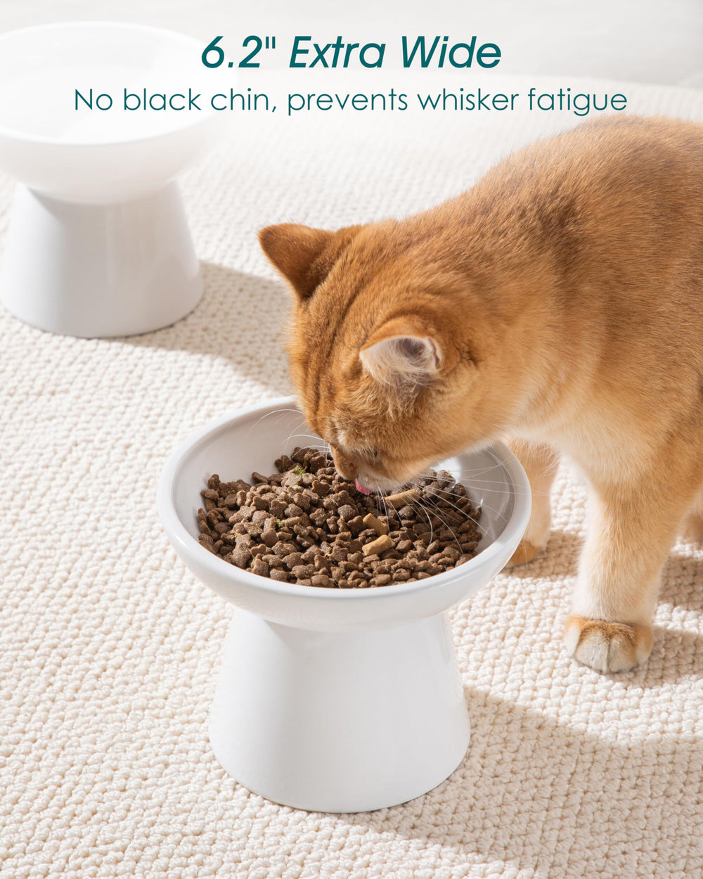 Bol chat anti-odeur Vancasso, surface lisse et nettoyage facile.