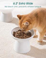 Bol chat anti-odeur Vancasso, surface lisse et nettoyage facile.