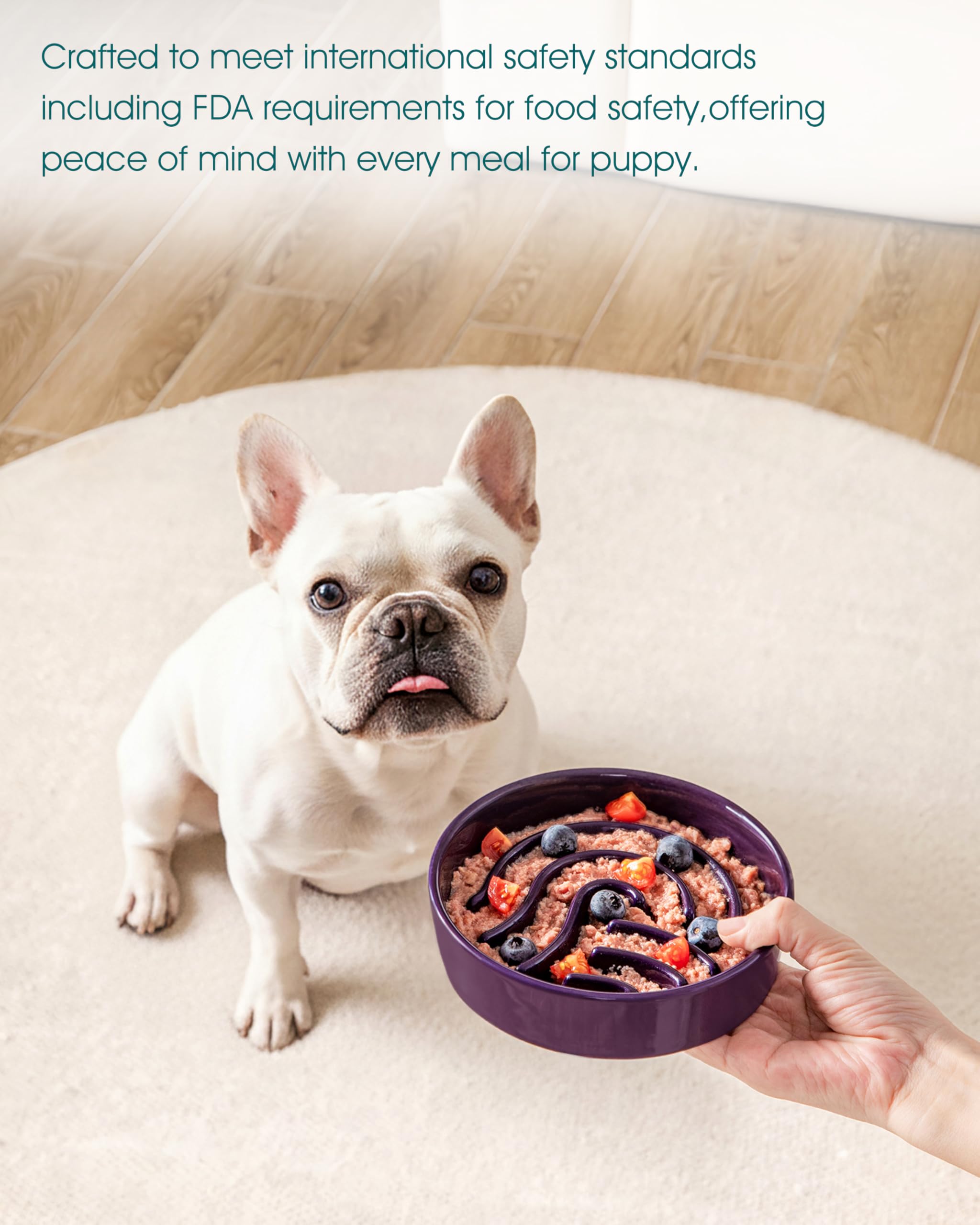 Bol chien lavable au lave-vaisselle, pratique et sans effort de nettoyage.