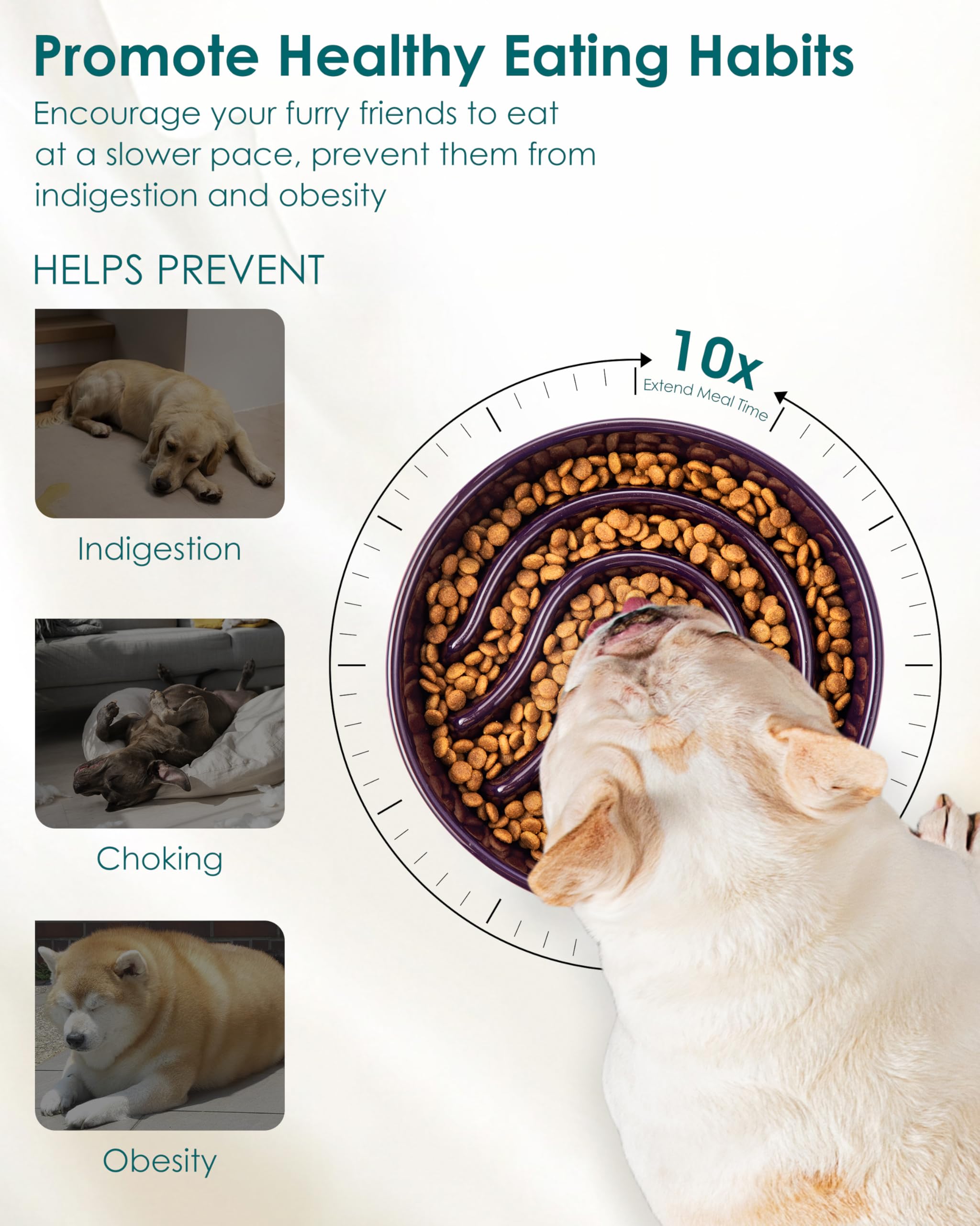 Bol chien puzzle repas Vancasso stimule l’occupation mentale lors des repas.