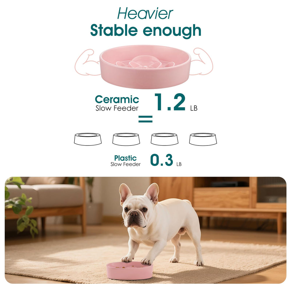 Utilisation adaptée pour chiens et chats avec bol Vancasso rose