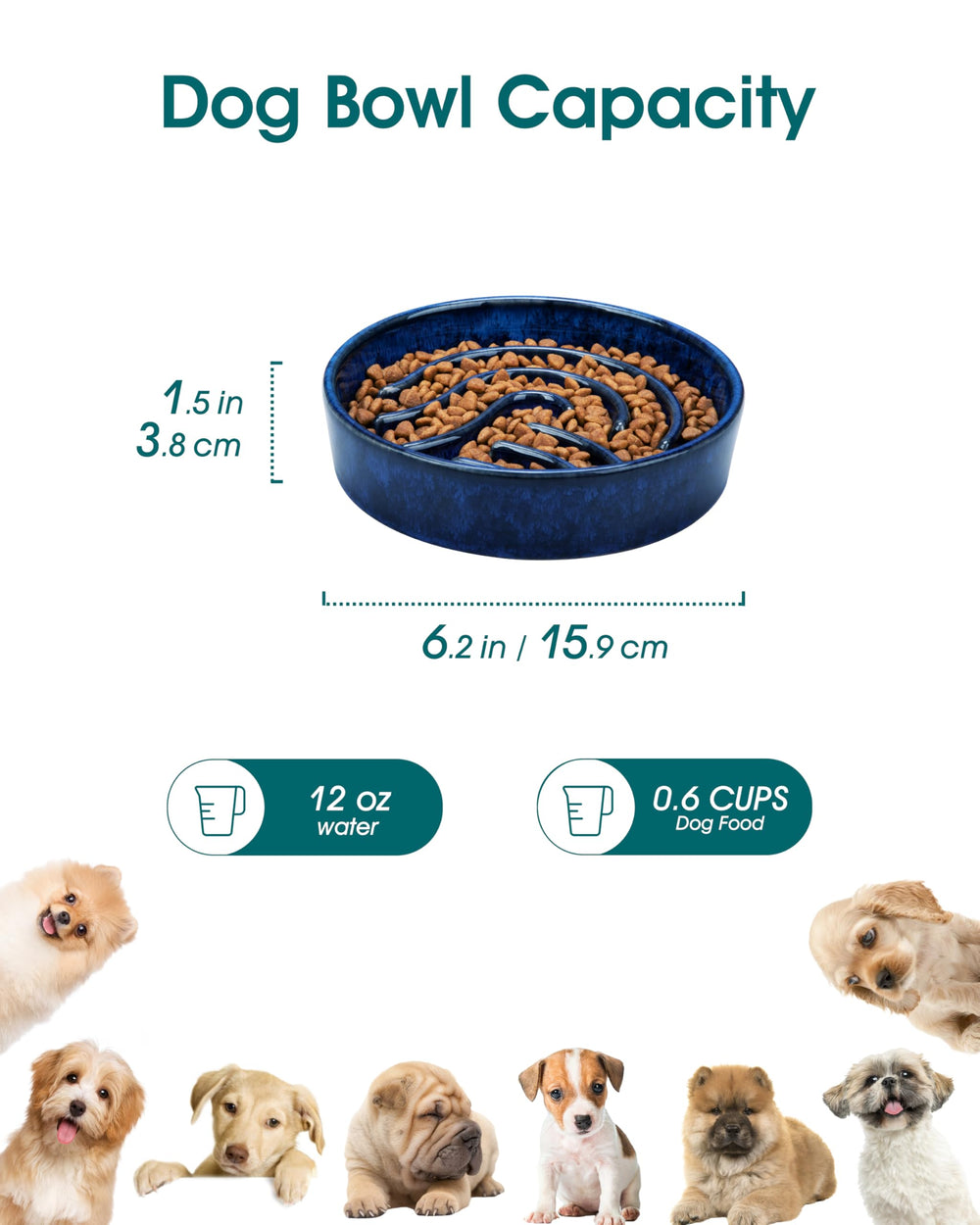Bol lent vancasso chien bleu énigme interactif, transforme le repas en défi mental.