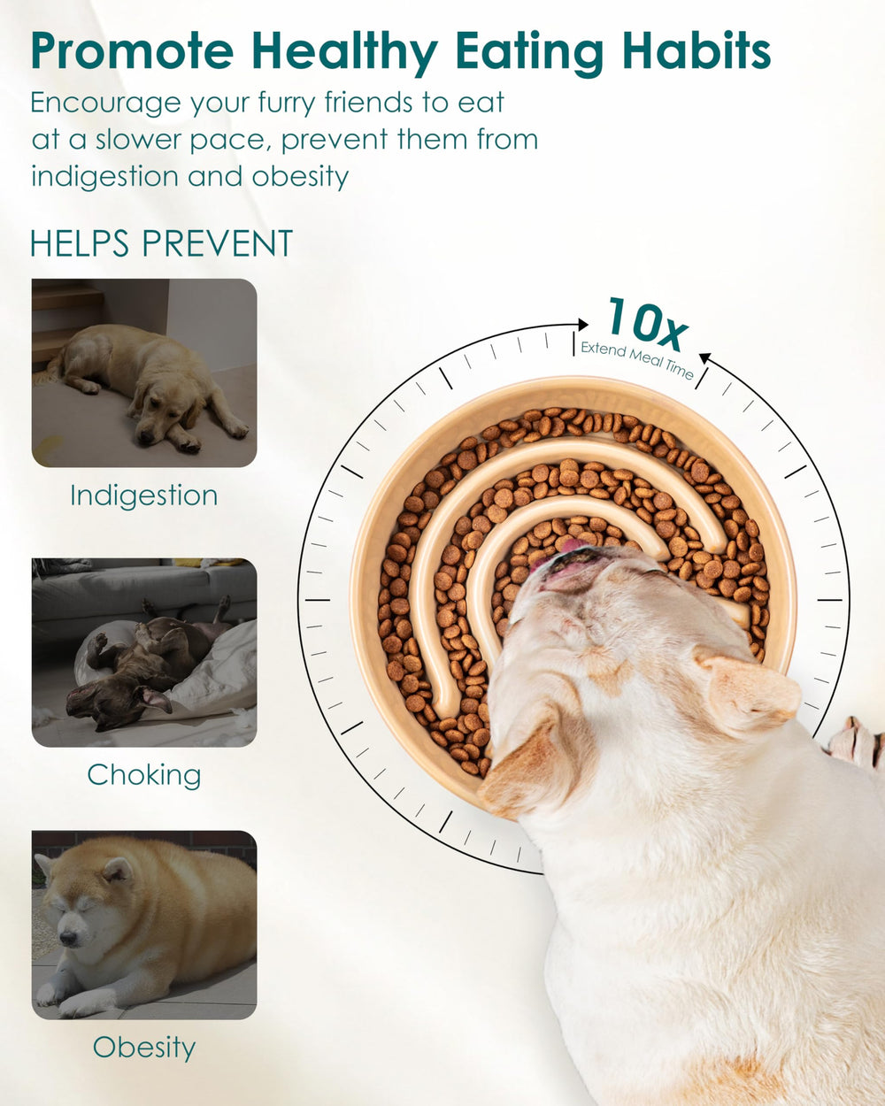Bol lent vancasso avec design labyrinthe intérieur favorisant stimulation mentale lors des repas.