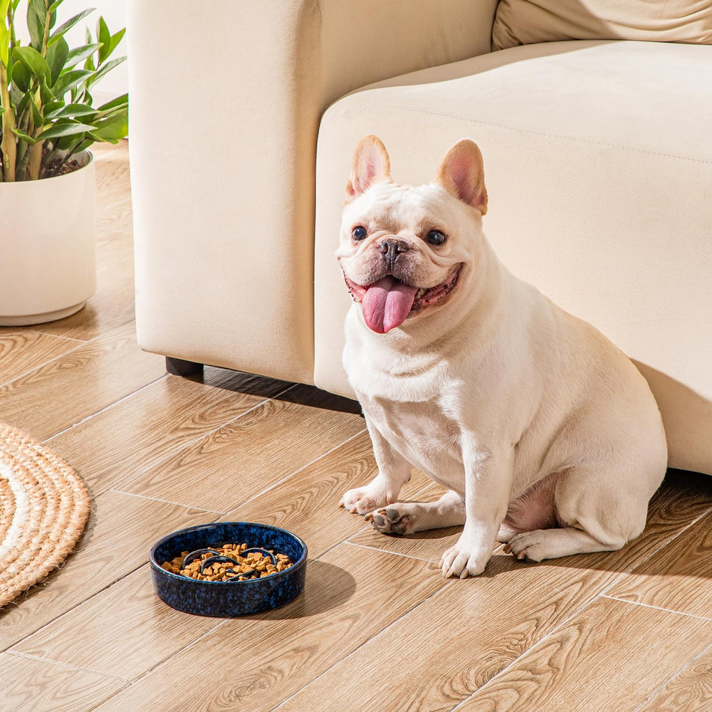 Bol Vancasso de 6-25 pouces pour petits chiens et chats, couleur bleue.