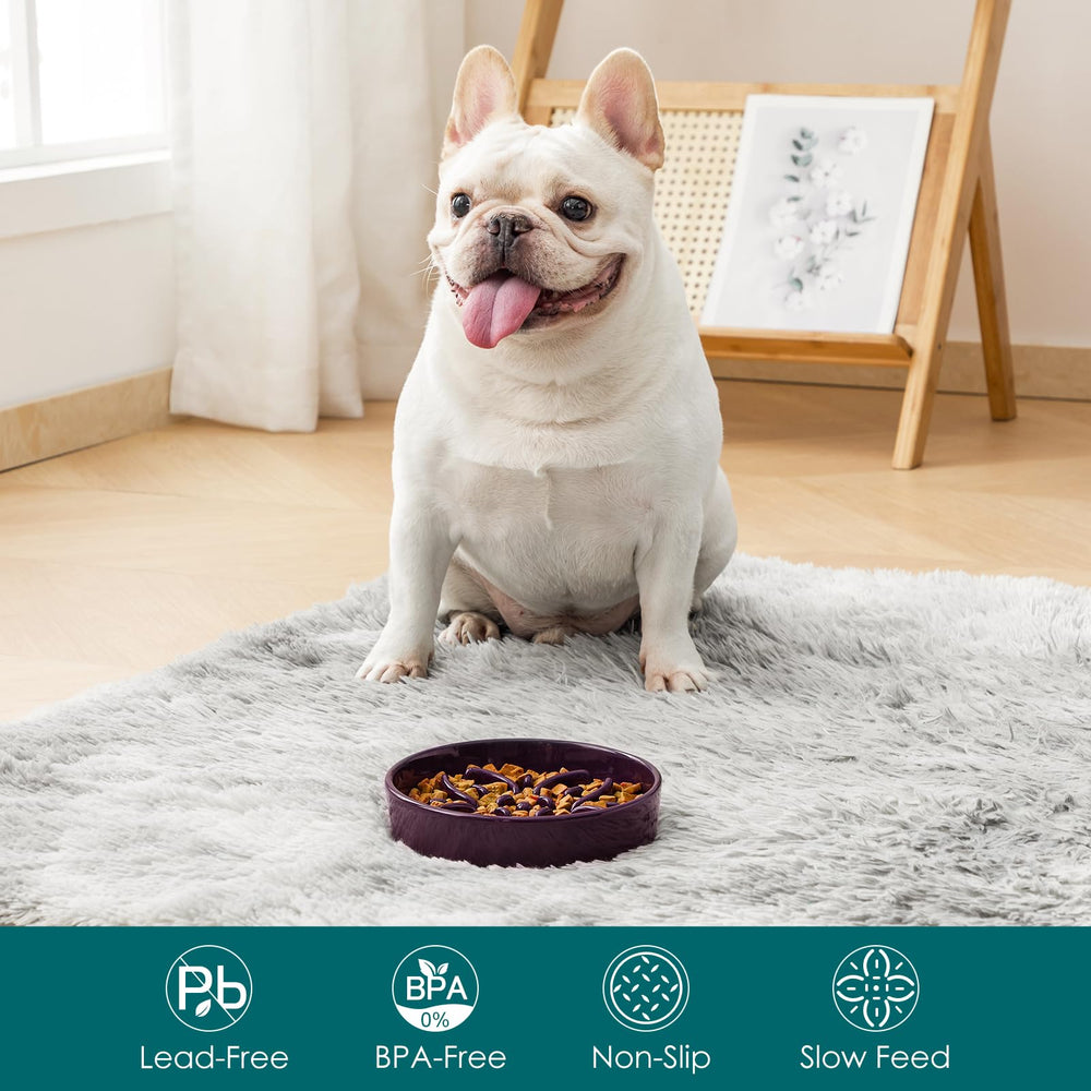 Bol puzzle labyrinthe floral Vancasso stimule l’exploration pendant le repas.