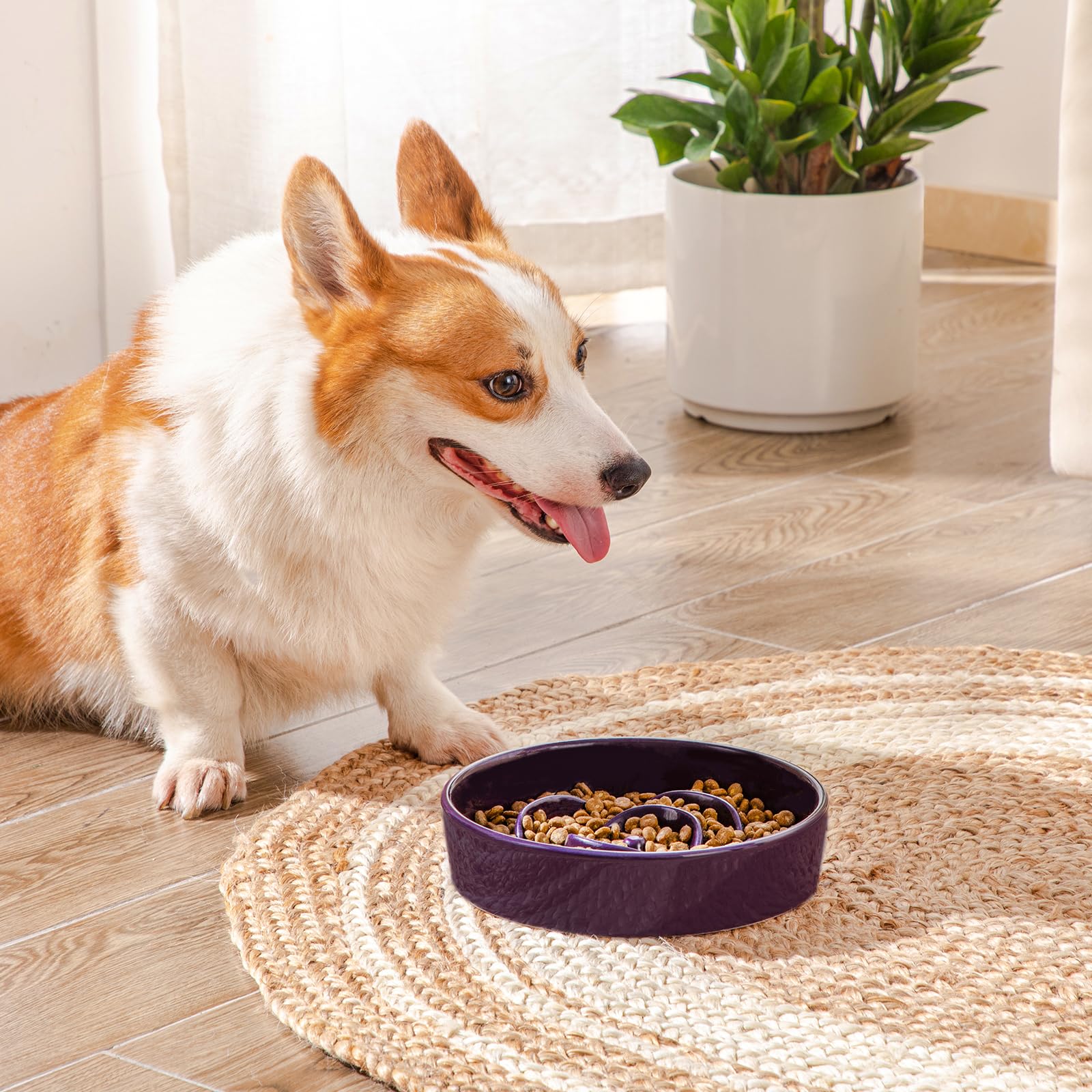 Idéal pour chiens taille moyenne et chats expérience alimentaire maîtrisée