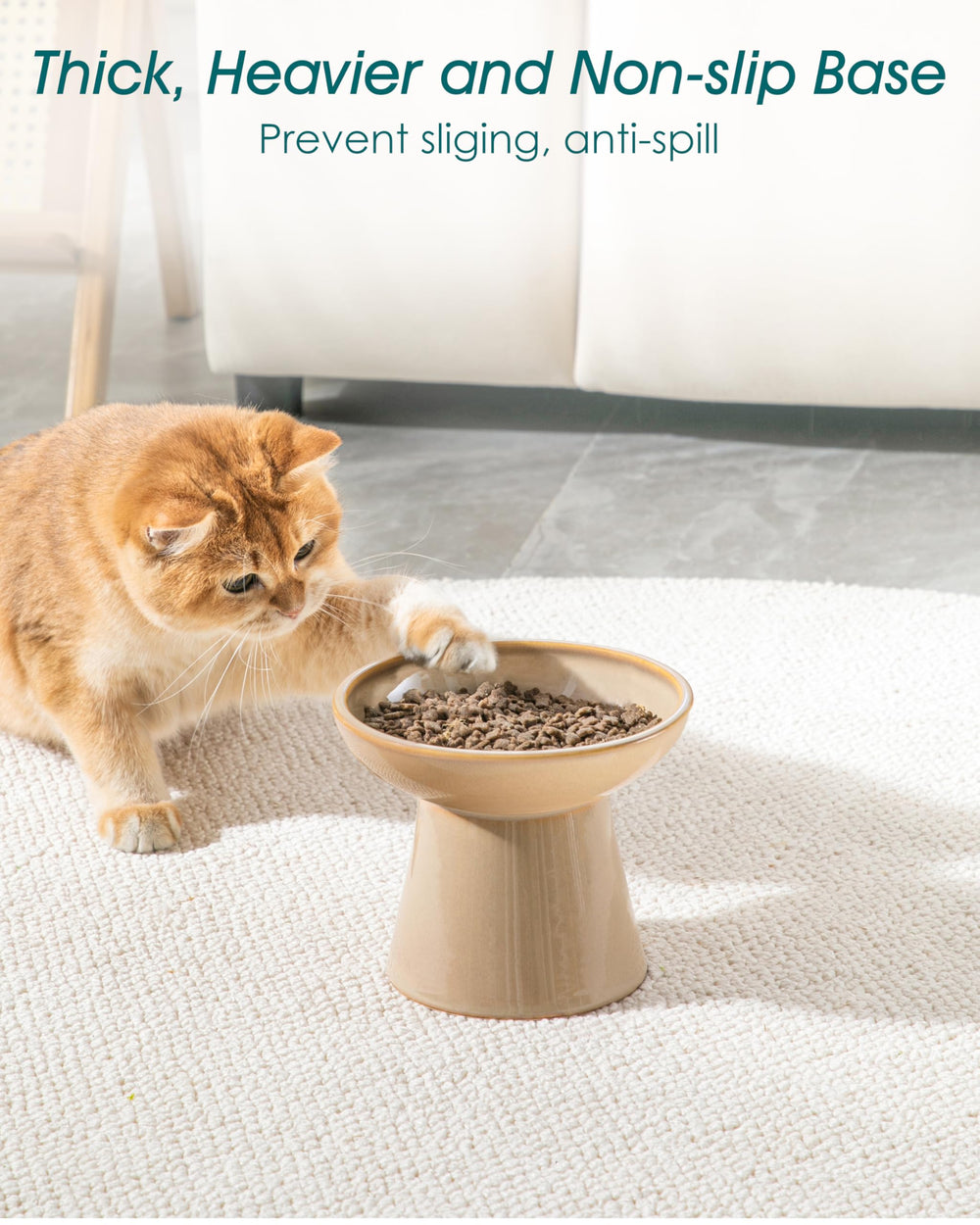 Convient pour chats et petits chiens, solution d'alimentation polyvalente.