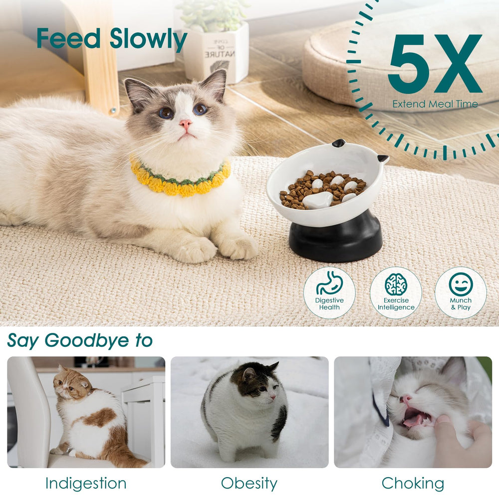 Design patte de chat surélevé, encourage un rythme d'alimentation plus calme.