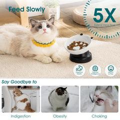 Design patte de chat surélevé, encourage un rythme d'alimentation plus calme.