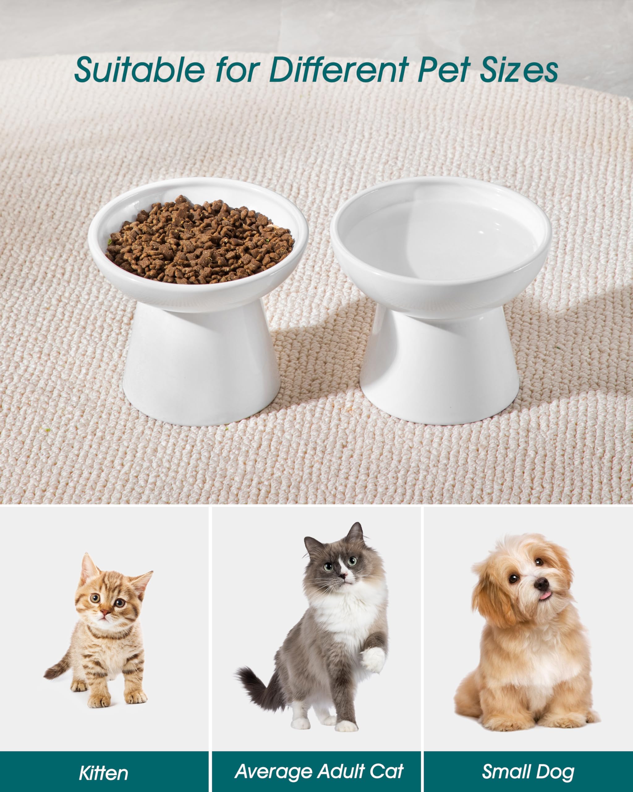 Bol chat en céramique Vancasso sans plomb, repas sûr et propre.