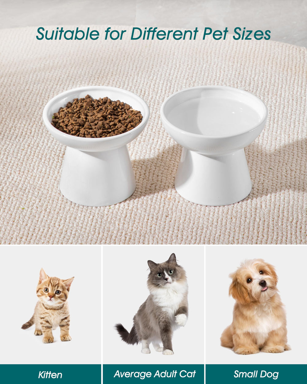 Bol chat en céramique Vancasso sans plomb, repas sûr et propre.
