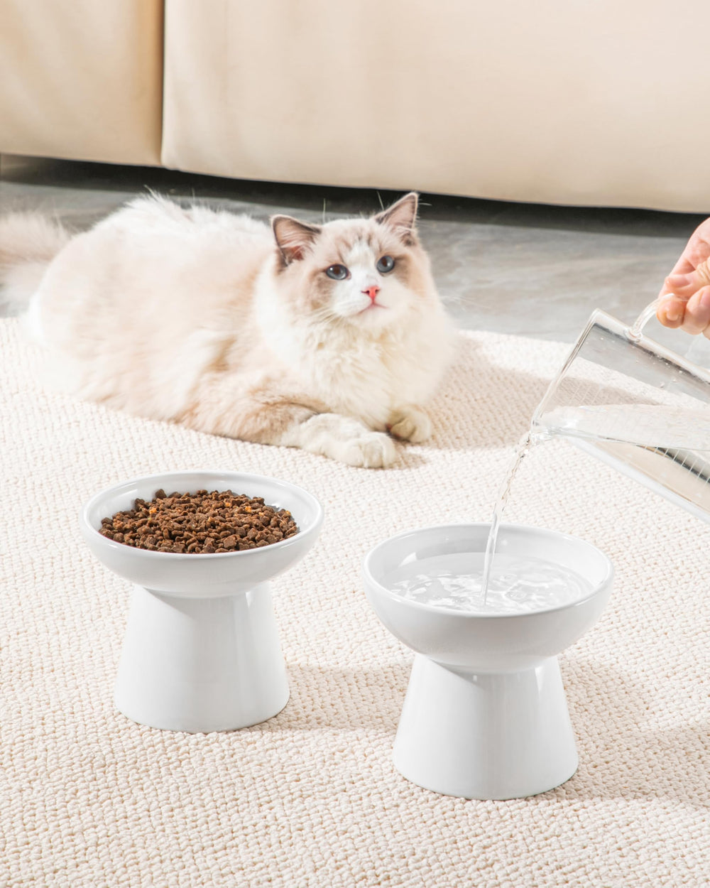 Ensemble de bols élévés Vancasso, design simple et nettoyage rapide après repas.