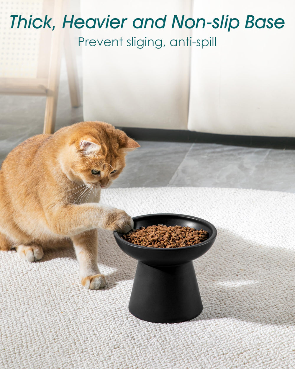 Convient aussi pour petits chiens et chats grâce à son design polyvalent – Vancasso.